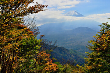 御坂山地の三方分山山頂より　紅葉と富士山
