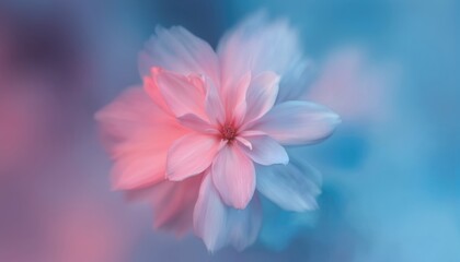 Fototapeta premium Soft illustration of blooming flower in pastel pink, blue hues. Delicate petals create dreamy, ethereal effect with gentle glow. Abstract floral design with blurred bokeh background, suitable for