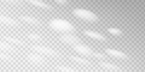 Sunlight and leaf shadows form a soft pattern on a grey wall. Blurred foliage and nature inspired overlay shape a serene scene. Ideal backdrop for clean product display.