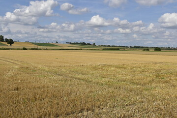 Landschaft und Felder bei Salzgitter