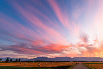 夕焼けと小麦畑