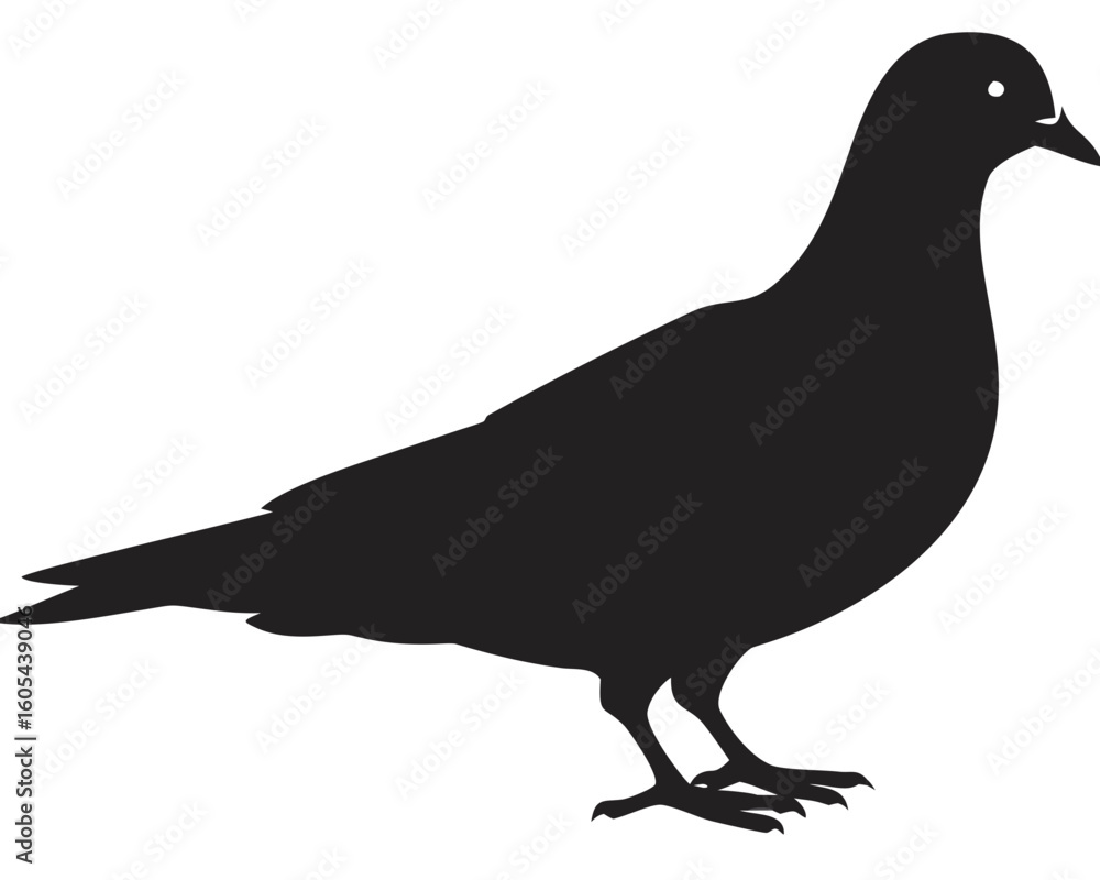 Poster silhouette depiction of a pigeon standing with its body facing left on a white background plain scen