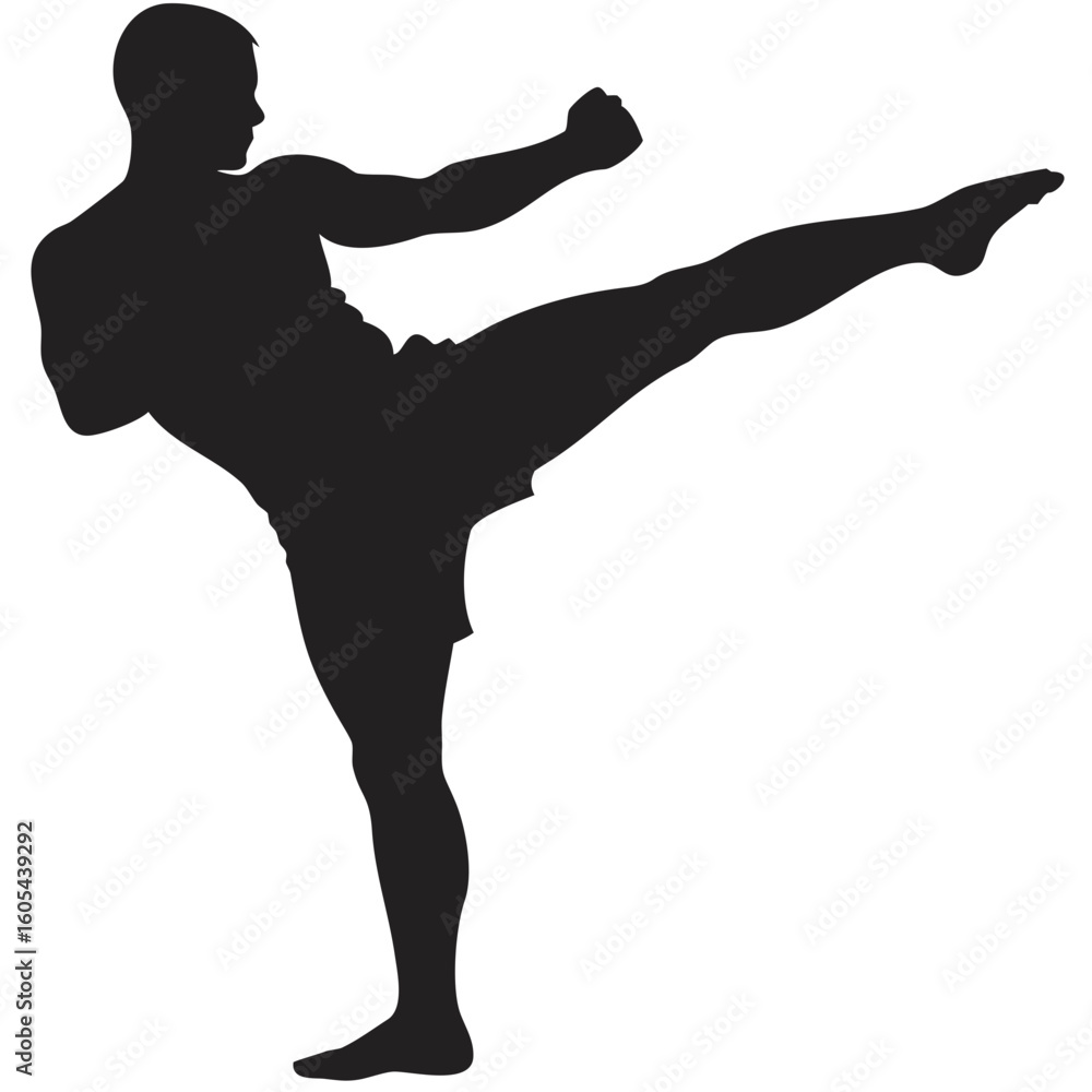 Poster silhouette of a man performing a high kick with his left leg extended and right fist clenched forwar