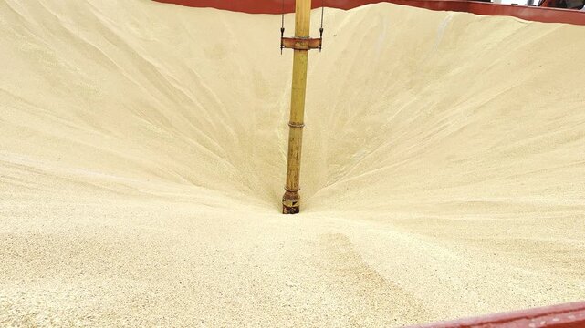 port vacuum pipe sucks the wheat