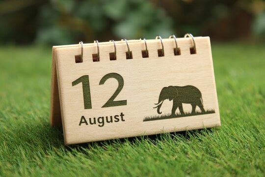 Wooden calendar showing 12 August with an elephant on grass
