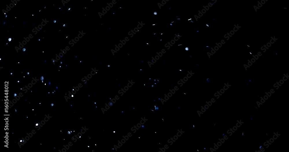 Wall mural natural organic dust particles floating on black background. dynamic dust particles randomly float i