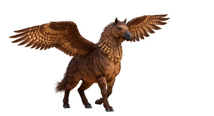 Isolated pegasus mythical creature winged horse fantasy animal brown pegasus flying horse art design image