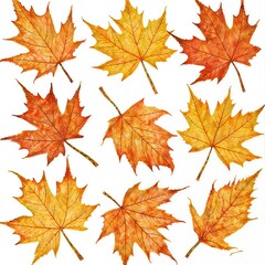 Autumn themed leaves in different shapes and sizes. Autumn leaves can be used to decorate different projects.