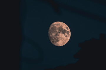 full moon in the night
