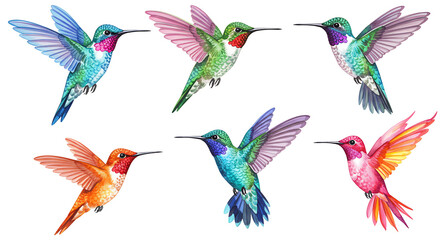 Obraz premium Vibrant watercolor hummingbirds in flight collection