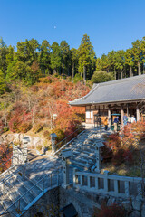 呑山観音寺の紅葉（福岡県篠栗町）