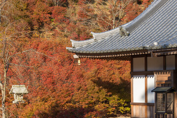 呑山観音寺の紅葉（福岡県篠栗町）