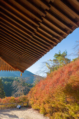 呑山観音寺の紅葉（福岡県篠栗町）