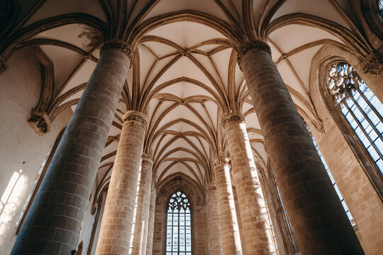 Gothic cathedral nave with towering stone columns and vaulted ceiling
