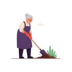 Elderly woman with gray hair wearing an apron and gloves, digging in the garden with a shovel.