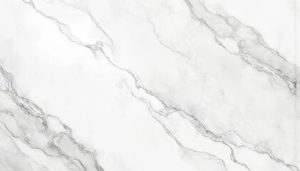 Obraz premium Elegant white marble background with chic gray gradient veins. Sophisticated luxury texture for interior design, fashion, and high-end branding projects. Subtle vein patterns create a refined look.