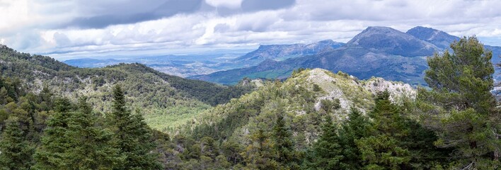Panoramic view on Yunquera and surrunding pine forest from Puerto Saucillo viewpoint, Sierra de las Nieves national park, Andalusia, Spain