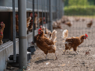 Farm Equipment Scene