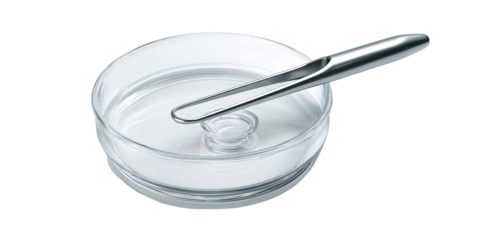 Clear petri dish with agar and stainless steel inoculation loop for microbiology research in laboratory Concept of science, medicine, and healthcare