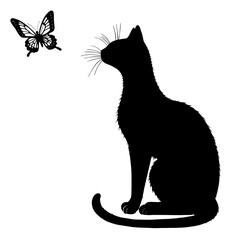 The Curious Cat