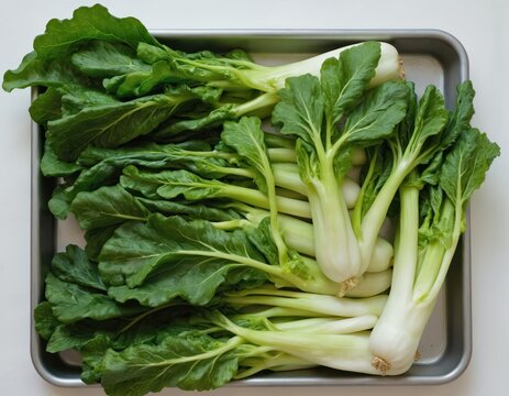 Fresh bok choy arranged on metal tray, featuring vibrant green leaves, crisp white stems. Healthy vegetable perfect for cooking, offering nutritious, versatile ingredient for salads, stir-fries, side