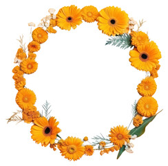 Obraz premium PNG Sunflower petal plant inflorescence.