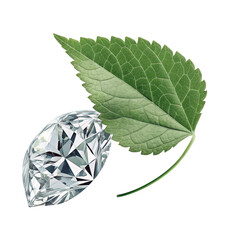 Sparkling diamond and green leaf isolated on black background isolated on white background isolated on transparent background