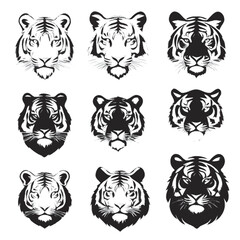 tiger vector illustration