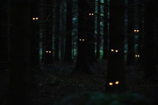 Mysterious glowing eyes in dark forest; eerie, suspenseful, Halloween stock photo.