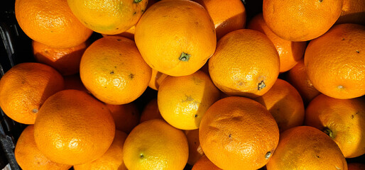 Ripe oranges with smooth, glossy skins are closely stacked together. Vibrant shades of orange and yellow stand out under natural light. oranges; fruit;