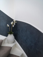 Orchid And Curved Architecture