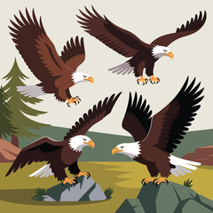 Fototapeta premium Four majestic bald eagles soaring and perched in a natural landscape