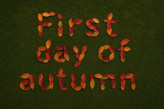 First day of autumn text made of fall leaves on grass, top view.warm autumn weather. 