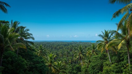 Elevated View of Lush Tropical Landscape with Ocean