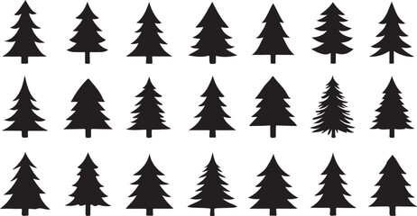 Obraz premium Black evergreen tree silhouettes pine