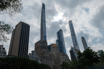 Urban Giants Amidst Nature's Embrace