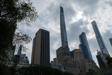 Urban Skyline Meets Nature's Silhouette