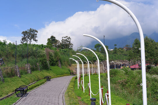 The lampposts stand at the edge of the park road, neatly lined up to form a leading line perspective.