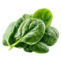 Fresh Spinach with Healthy Leaves on Transparent Background

