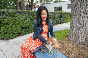 Woman Places Puppy Gently on Blue Planter After Removing Sweater