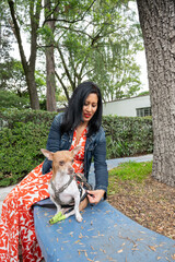 Red-Dress Owner Tightens Lateral Harness Straps on Disabled Dog