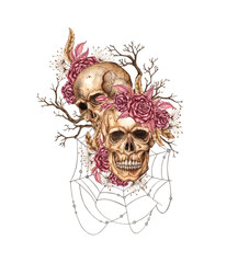 Skulls two with dark red roses, dried flowers, feathers, branches and spider web watercolor illustration. Bones in gothic style. Day of the Dead, Halloween, Dia de los muertos. Isolated. Symbolism