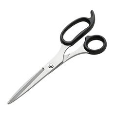 Professional Stainless Steel Scissors with Black Handles.