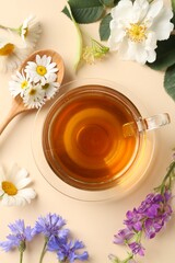 Aromatic herbal tea in glass cup and different flowers on beige background, flat lay