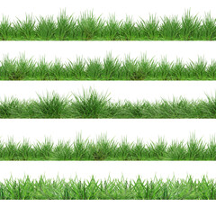 Fresh lush green grass isolated on white, set