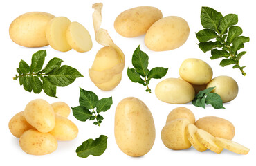 Potatoes and green plant leaves isolated on white, set