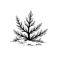 Elegant botanical drawing of a stylized plant showcasing nature's beauty with artistic sophistication and minimalist design