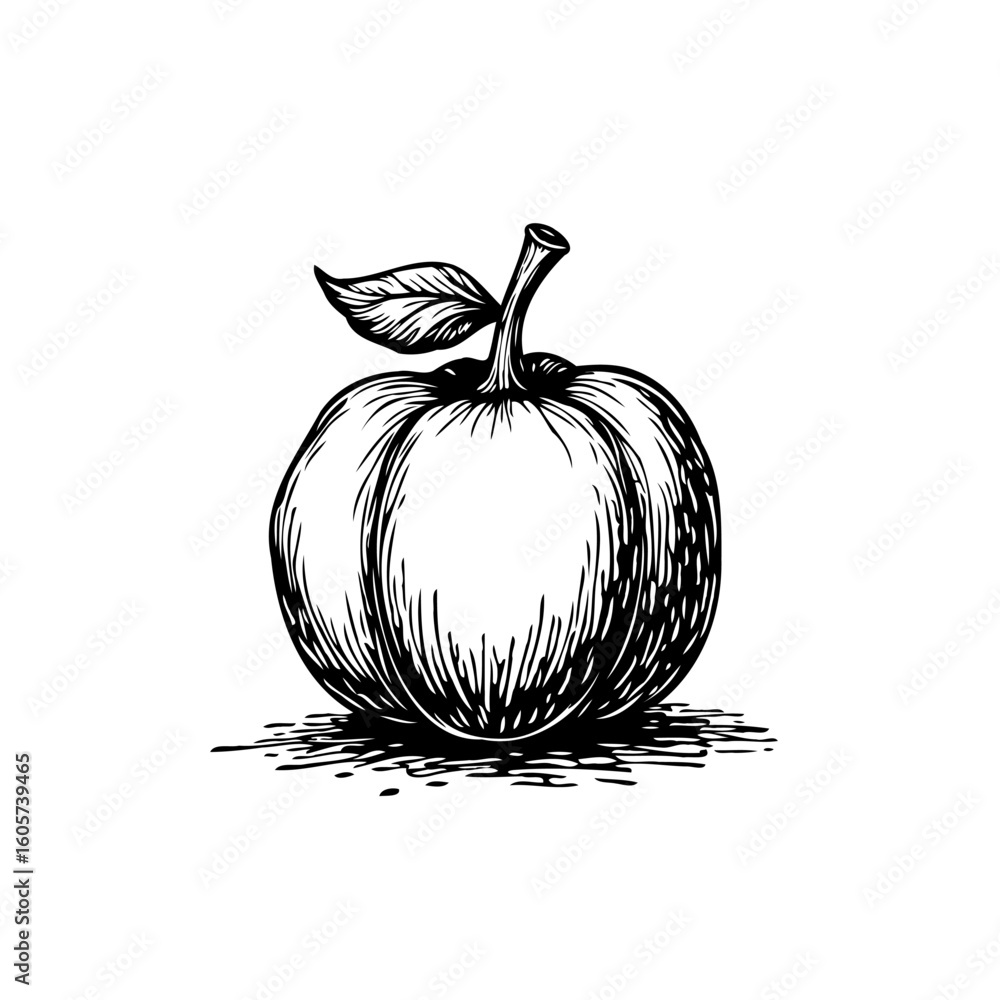 Poster hand drawn vector illustration of an apple with leaf isolated on white background with rough sketch 