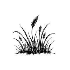 Stylized grass vector illustration showing detailed botanical plant elements for graphic design projects, artwork, print and decoration