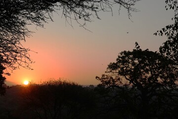 Fototapeta premium Sunrise at Tarangire